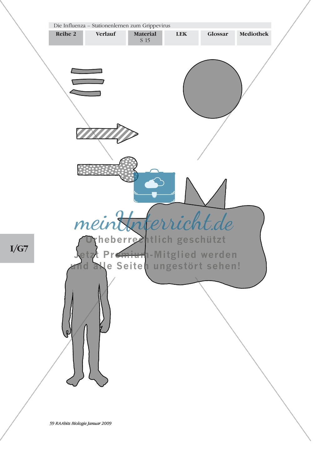 Stationsarbeit zum Thema Influenza mit Themen zur Vogelgrippe, Viren und Fieber Preview 14