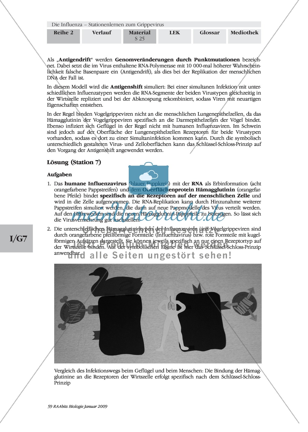 Stationsarbeit zum Thema Influenza mit Themen zur Vogelgrippe, Viren und Fieber Preview 24