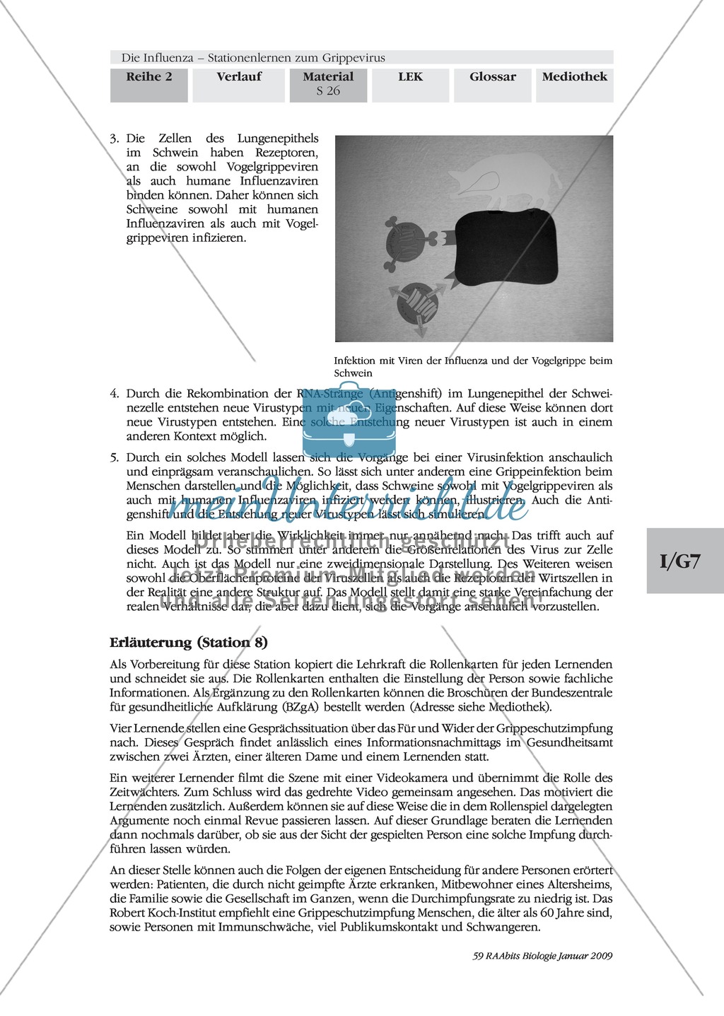 Stationsarbeit zum Thema Influenza mit Themen zur Vogelgrippe, Viren und Fieber Preview 25
