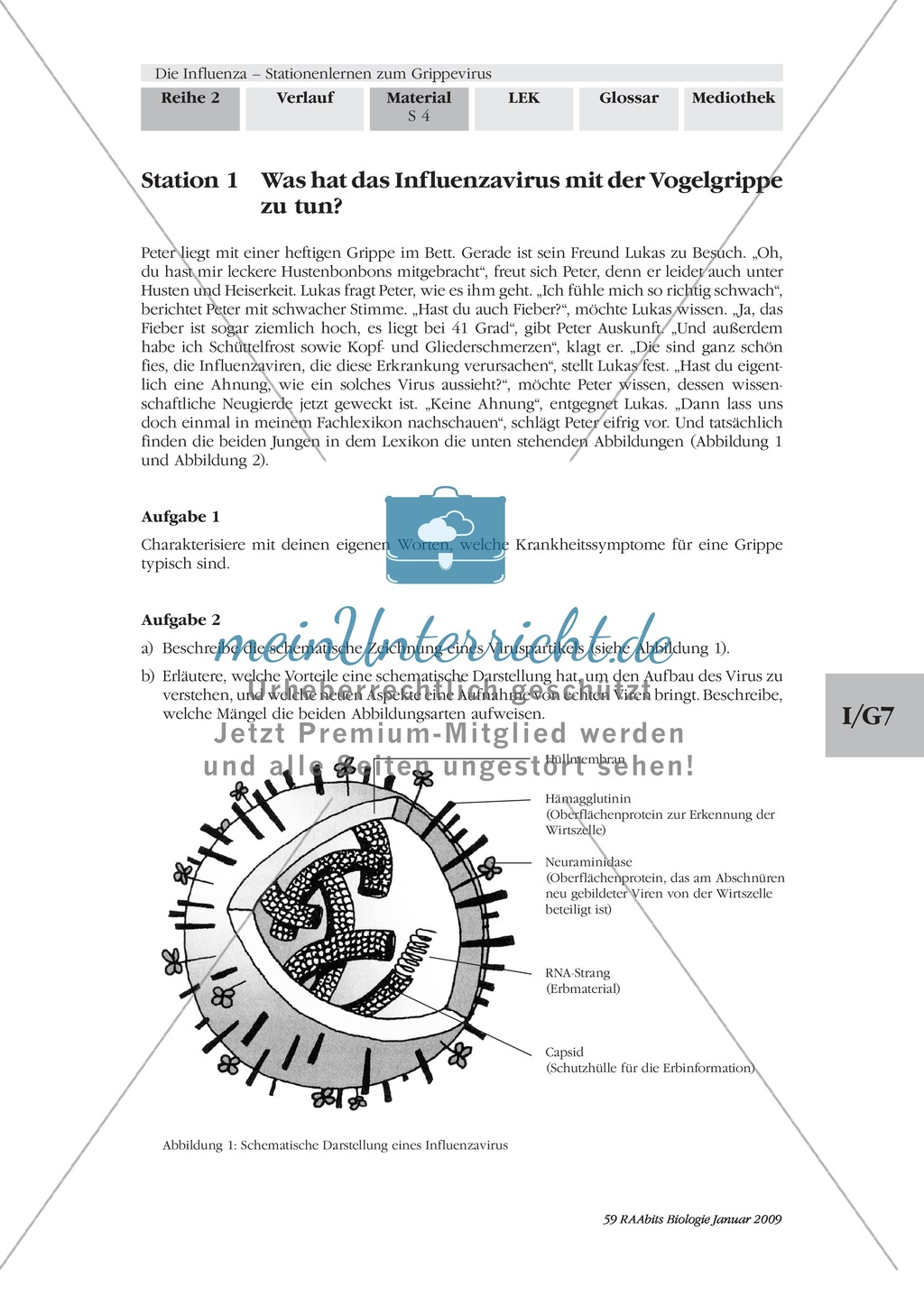 Stationsarbeit zum Thema Influenza mit Themen zur Vogelgrippe, Viren und Fieber Preview 4