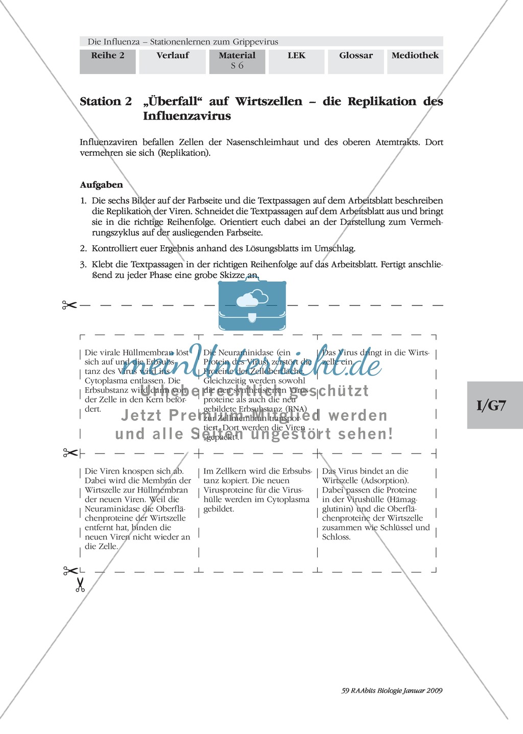 Stationsarbeit zum Thema Influenza mit Themen zur Vogelgrippe, Viren und Fieber Preview 6