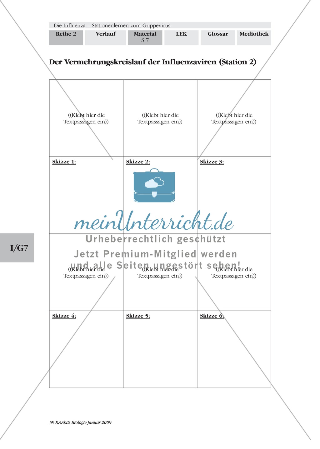 Definition, Beschreibung und Vermehrungskreislauf von Viren am Beispiel Influenza und Vogelgrippe: Textarbeit, Bildbeschreibung, Skizzieren, Eigenrecherche Preview 4