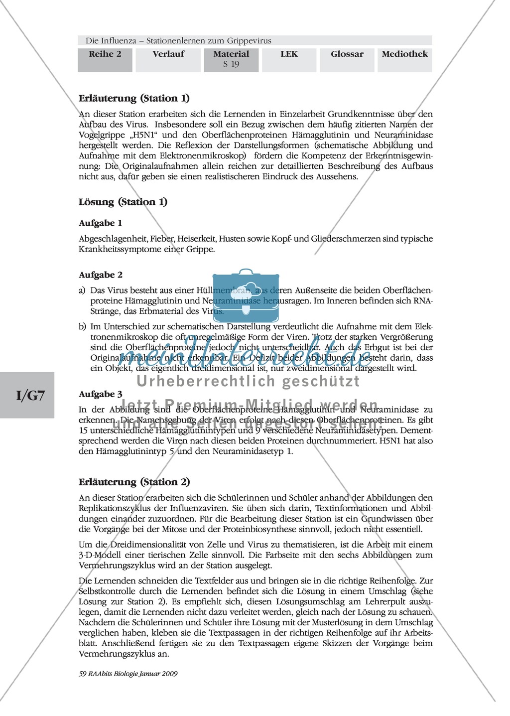 Definition, Beschreibung und Vermehrungskreislauf von Viren am Beispiel Influenza und Vogelgrippe: Textarbeit, Bildbeschreibung, Skizzieren, Eigenrecherche Preview 6