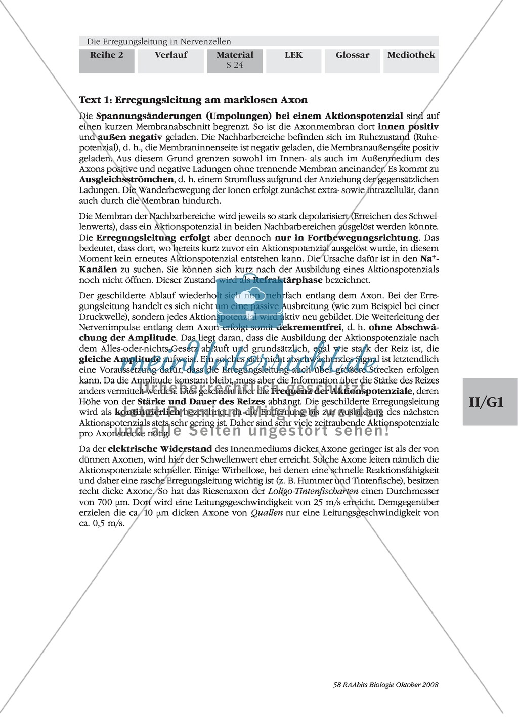 Die Erregungsleitung am Axon selbstständig erklären: Stärkung der Textarbeit und Kommunikationsfähigkeit im Biologie-Unterricht Preview 2