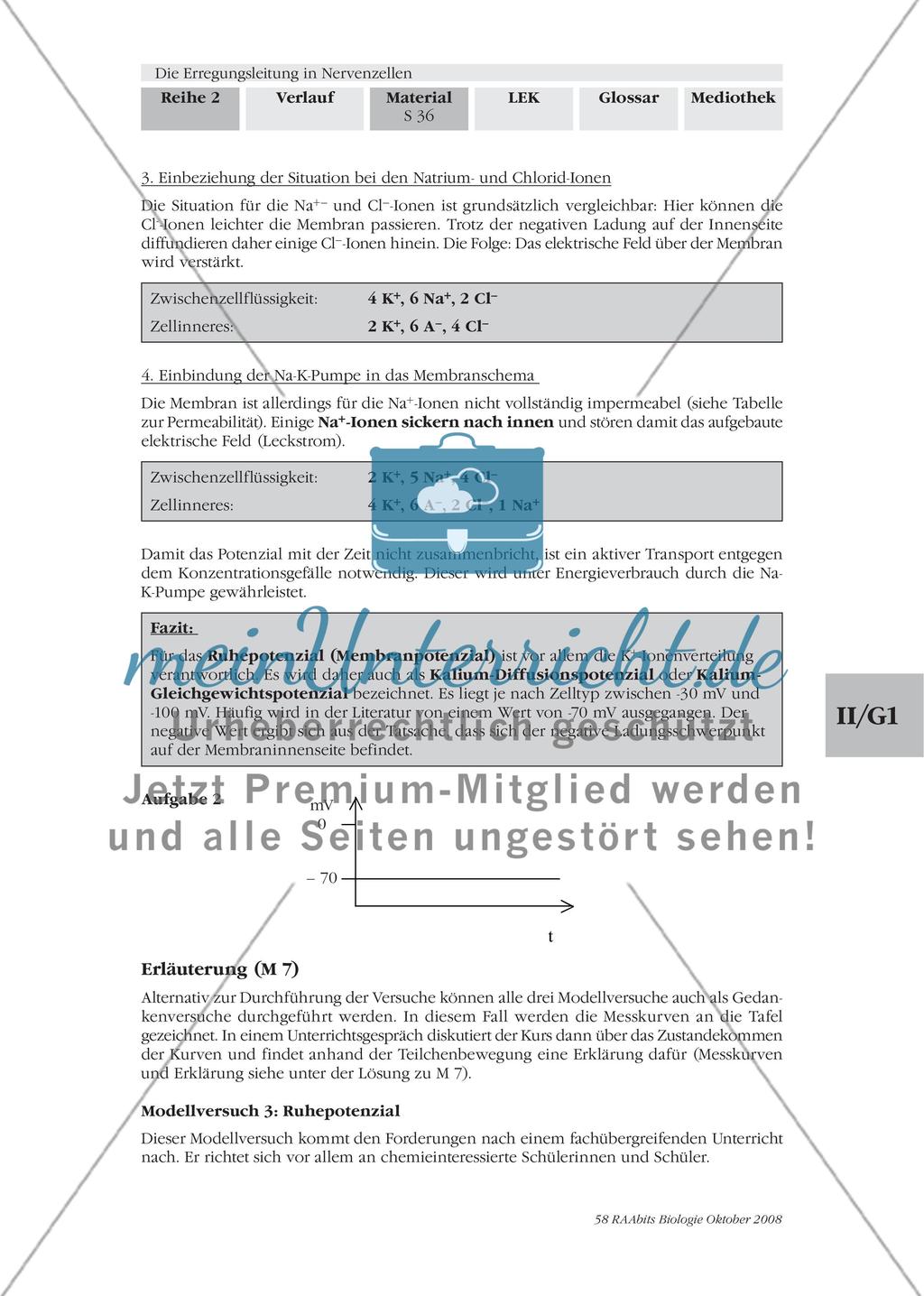 Lösungen Preview 6