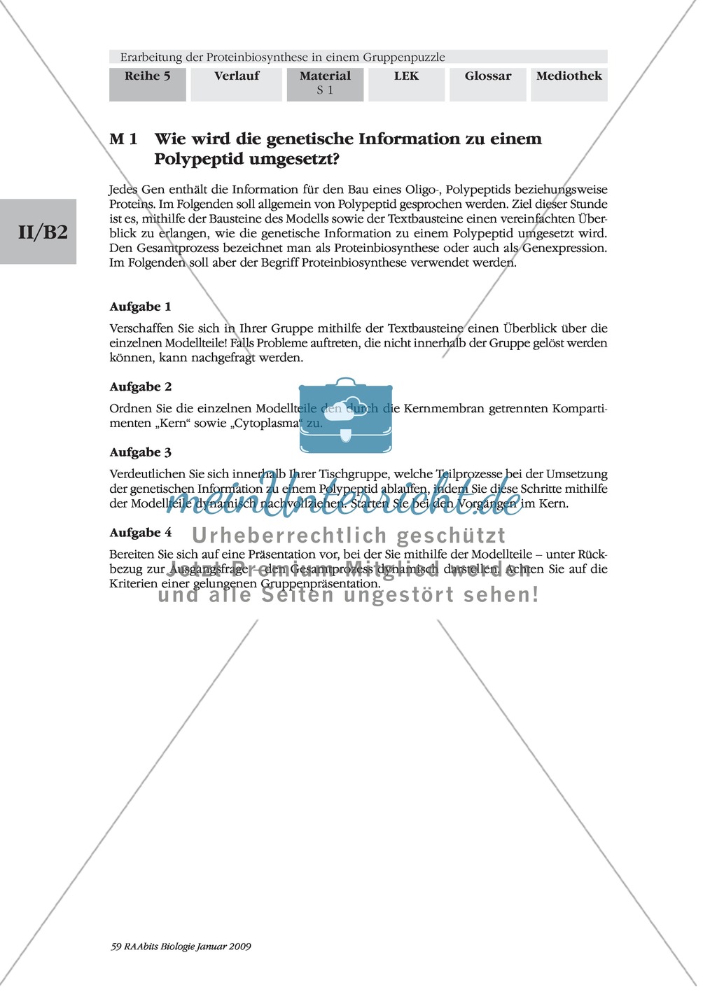 Einführung in die Proteinbiosynthese anhand eines Modells Preview 1