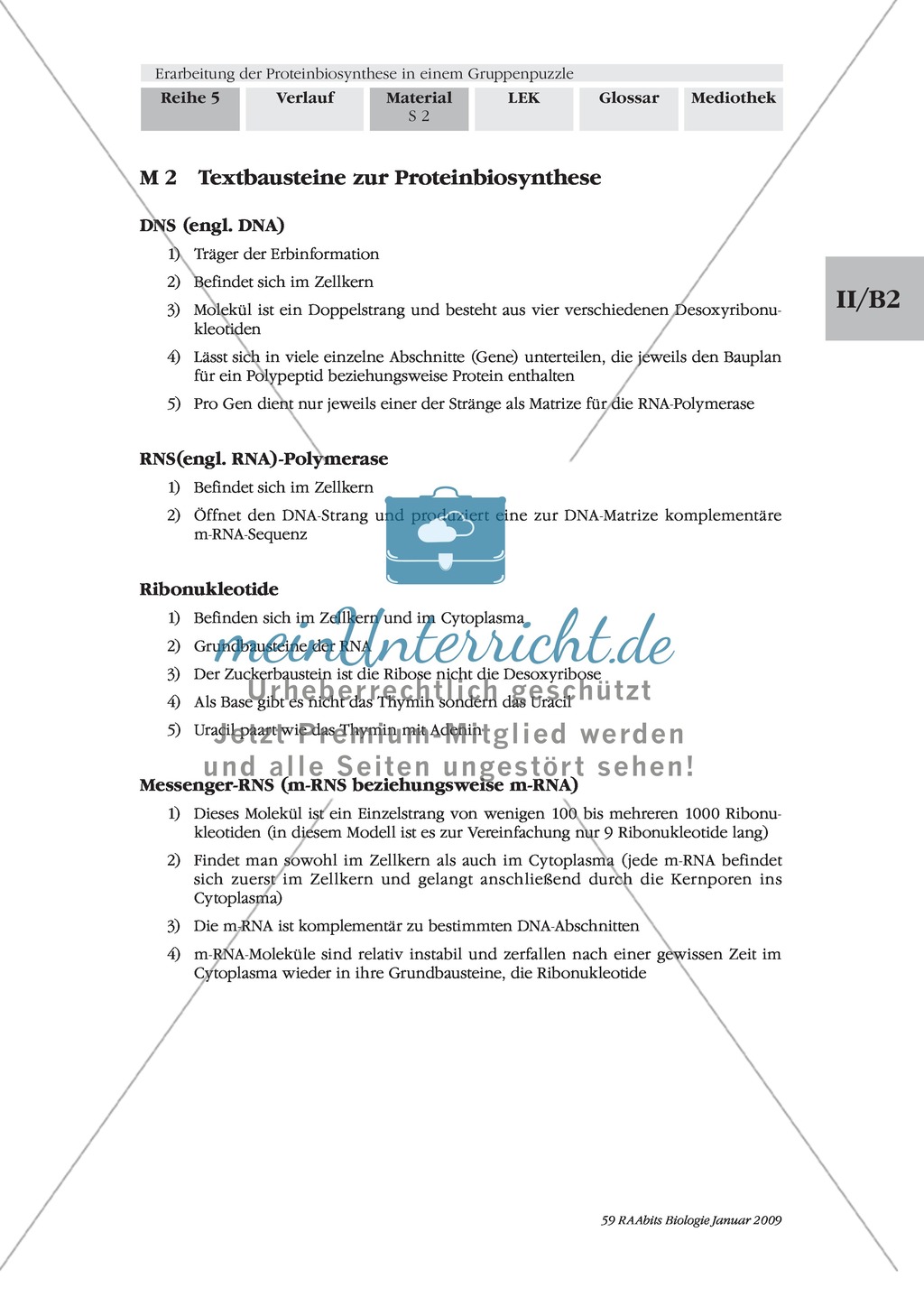Einführung in die Proteinbiosynthese anhand eines Modells Preview 2
