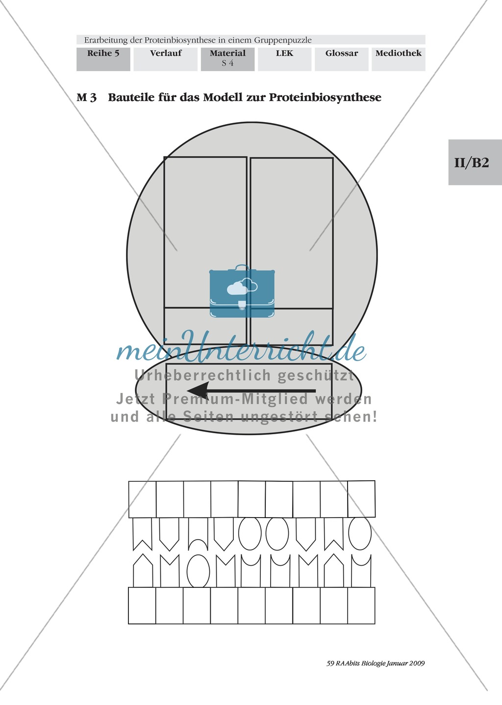 Einführung in die Proteinbiosynthese anhand eines Modells Preview 4