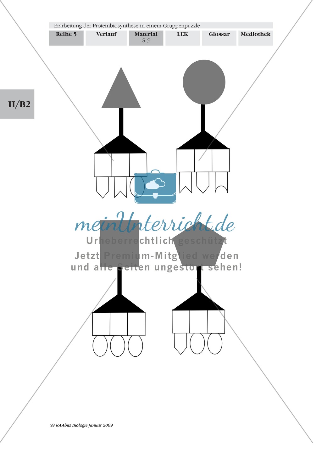 Einführung in die Proteinbiosynthese anhand eines Modells Preview 5
