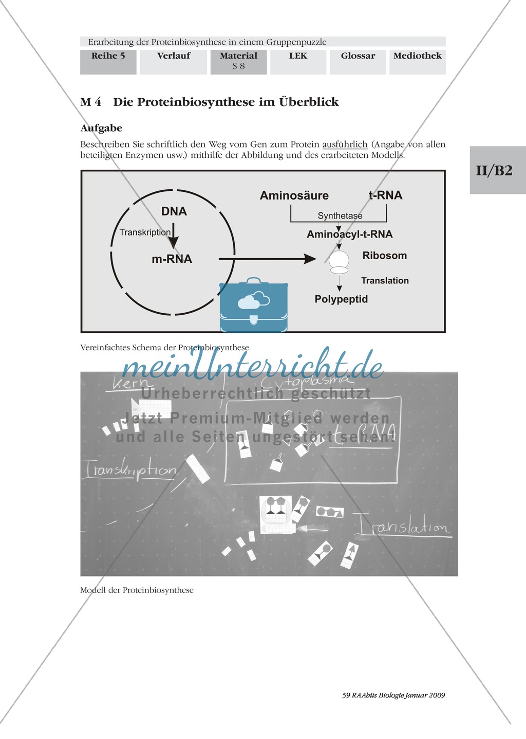 Einführung in die Proteinbiosynthese anhand eines Modells Preview 8