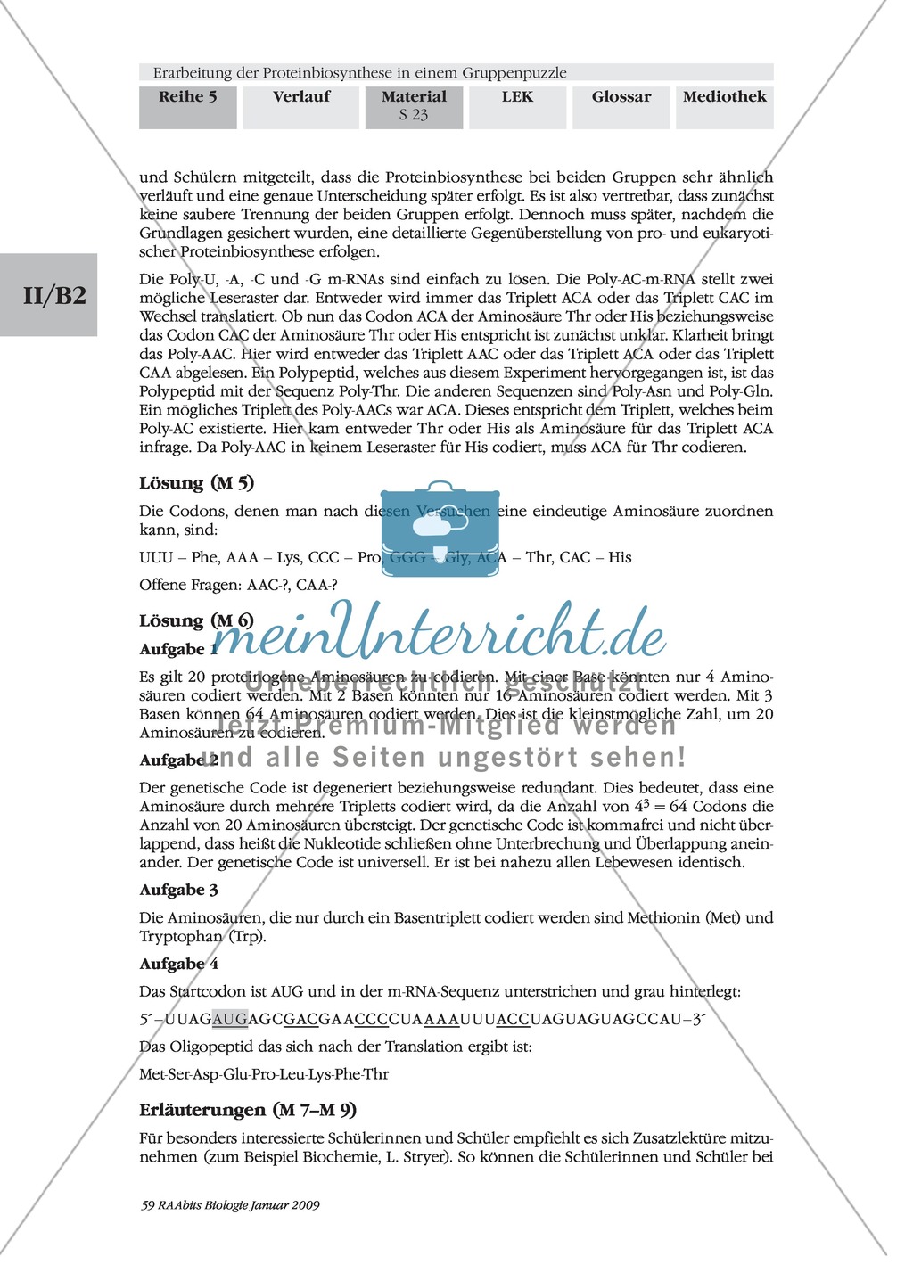 Die Teilprozesse der Proteinbiosynthese: Mini-Gruppenpuzzle Preview 11