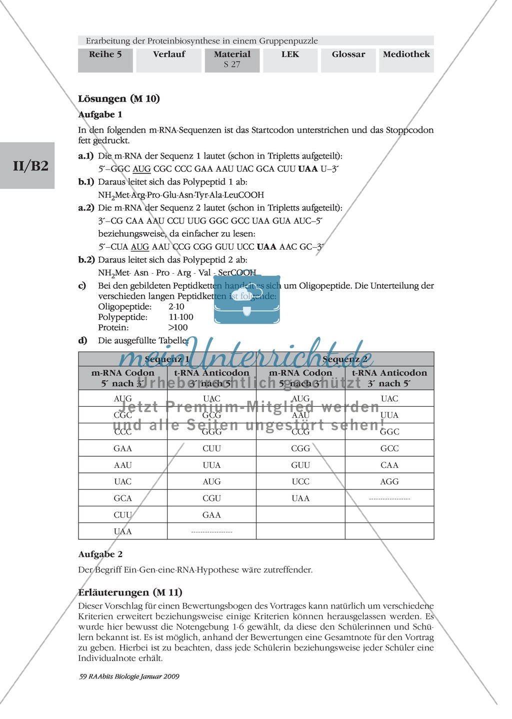 Die Teilprozesse der Proteinbiosynthese: Mini-Gruppenpuzzle Preview 15