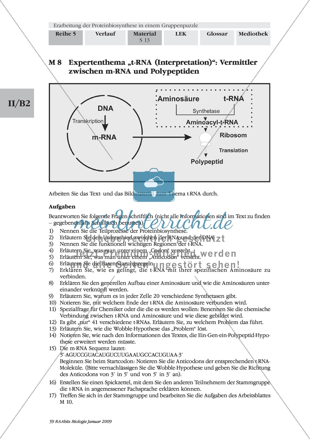 Die Teilprozesse der Proteinbiosynthese: Mini-Gruppenpuzzle Preview 3