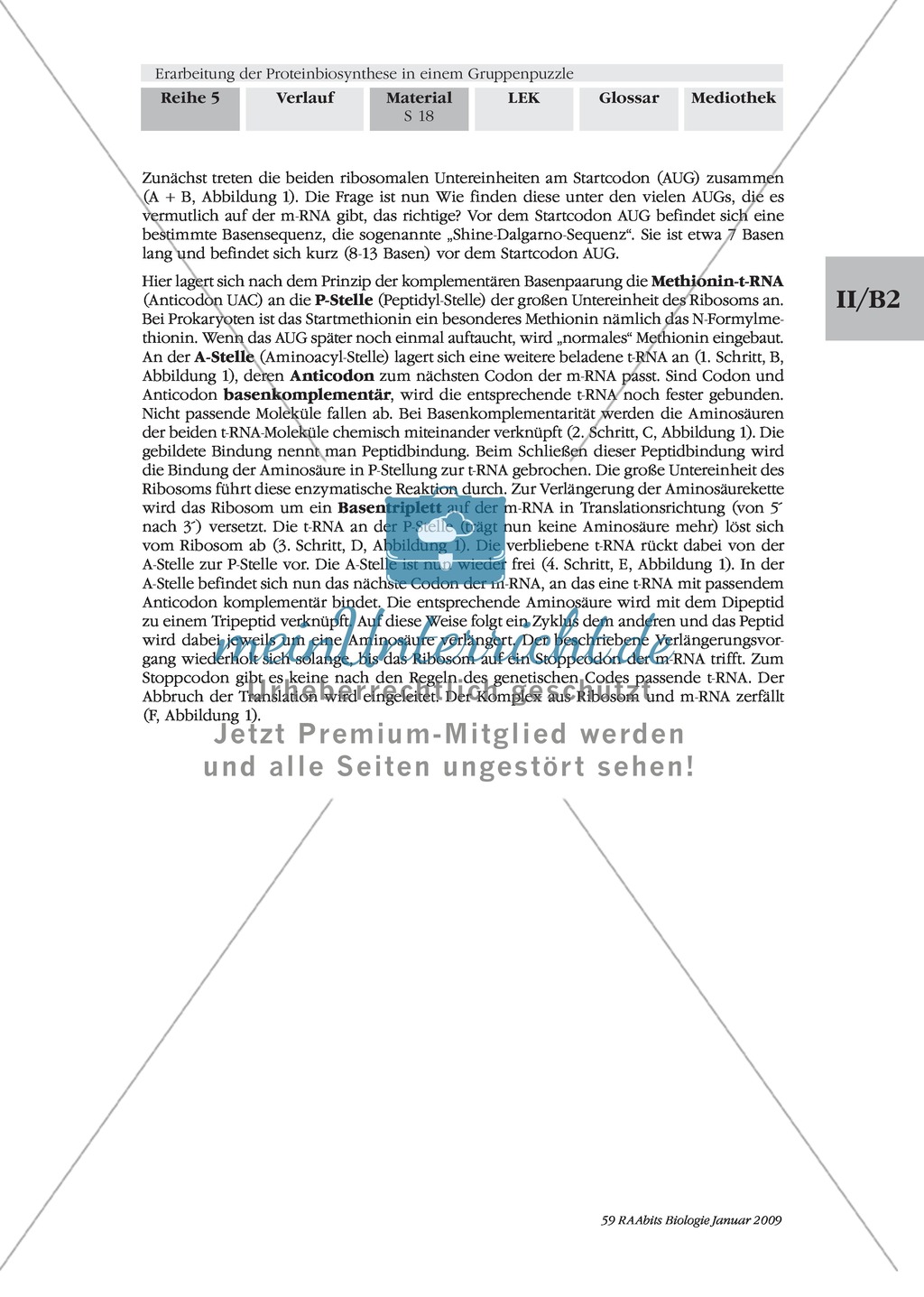 Die Teilprozesse der Proteinbiosynthese: Mini-Gruppenpuzzle Preview 8