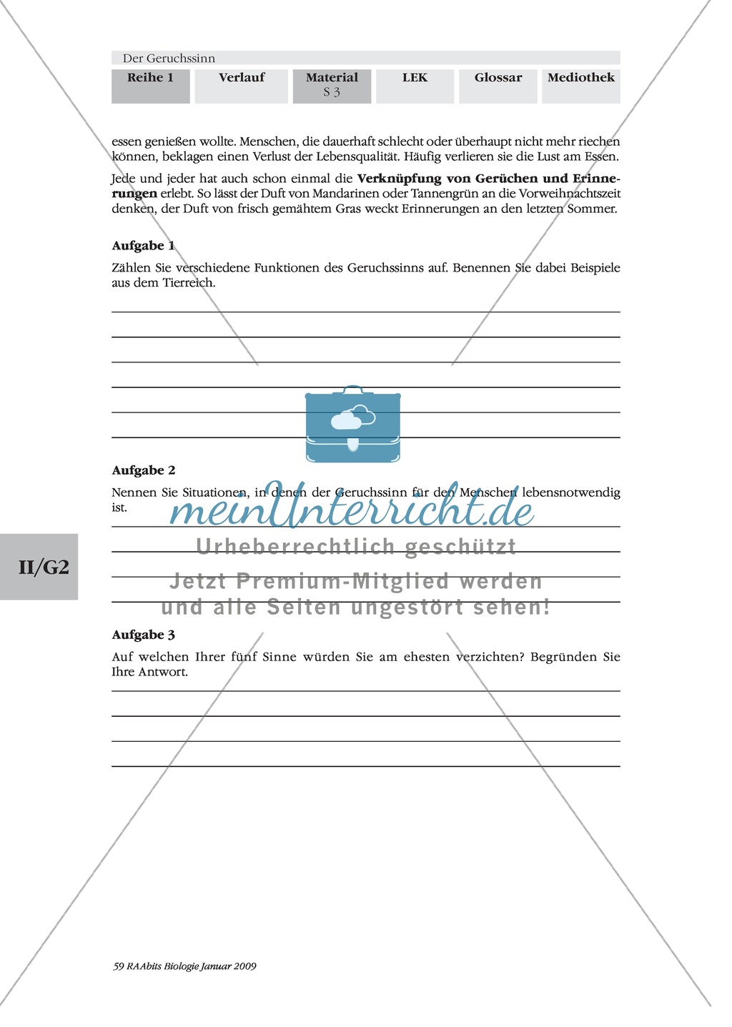 Nase: Bedeutung des Geruchssinns: Text Preview 2