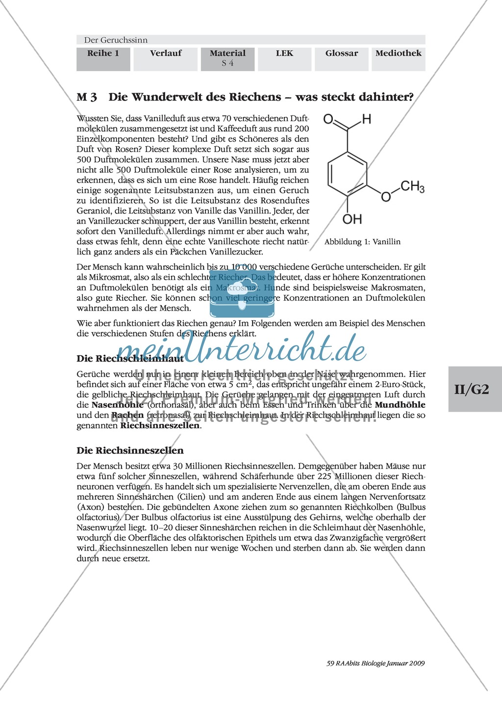 Geruchssinn: Funktion, Ablauf: Text Preview 1