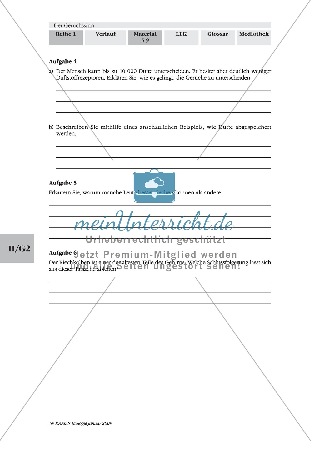 Geruchssinn: Funktion, Ablauf: Text Preview 6