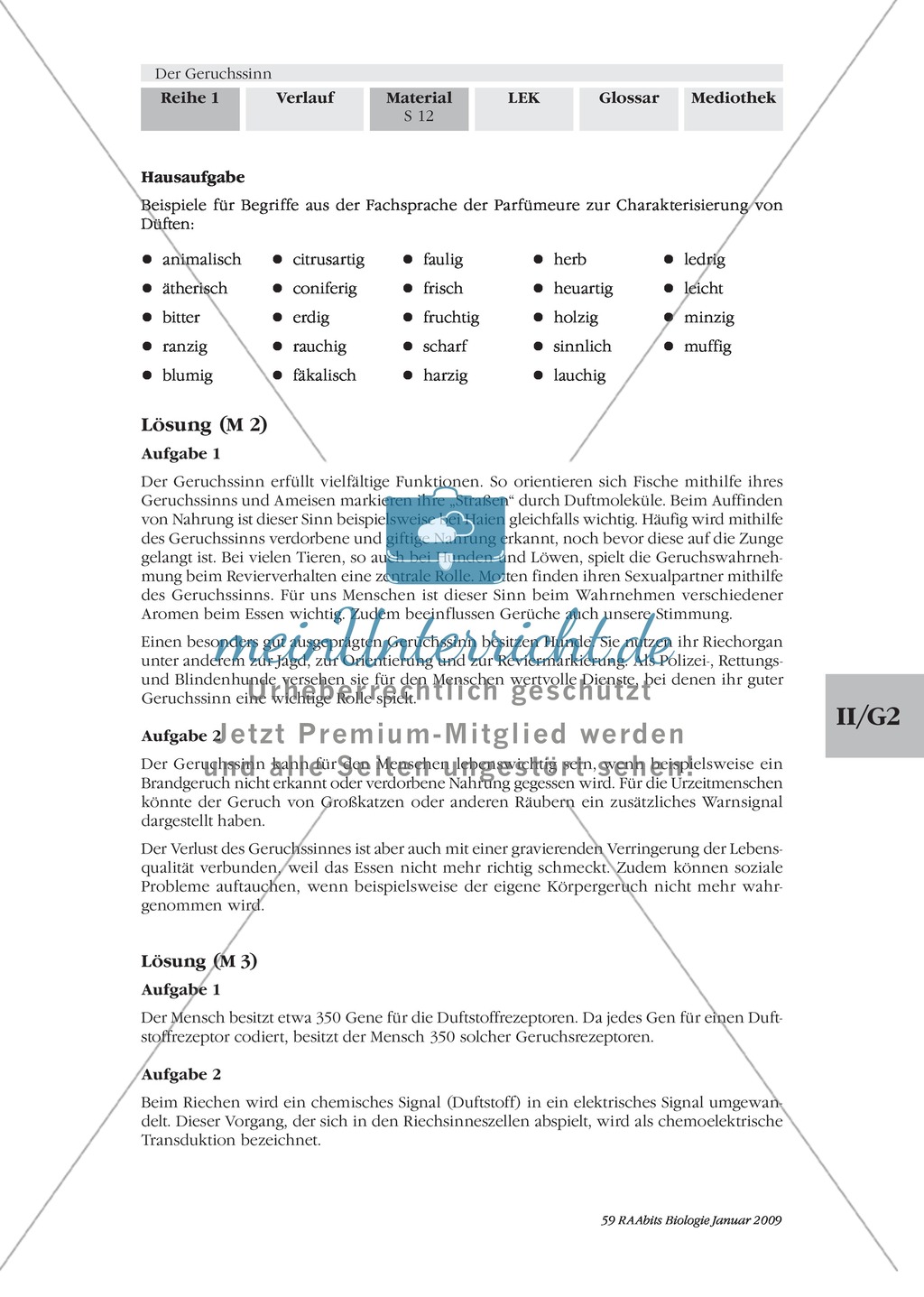 Geruchssinn: Funktion, Ablauf: Text Preview 7