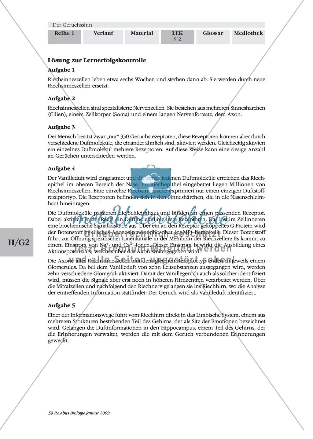 Geruchssinn: LEK Preview 2
