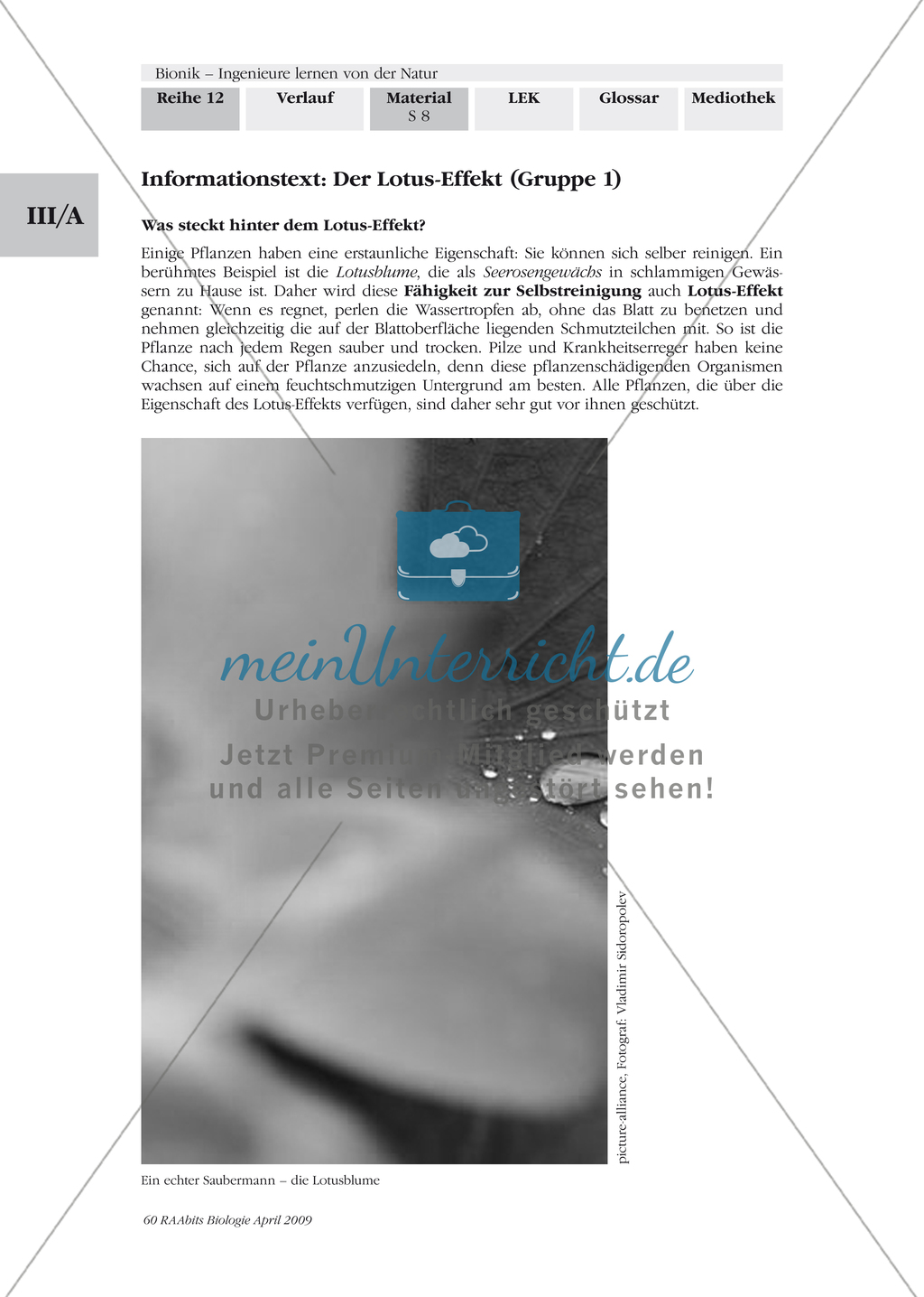 Bionik: Der Lotus-Effekt - Wandplakat Preview 2