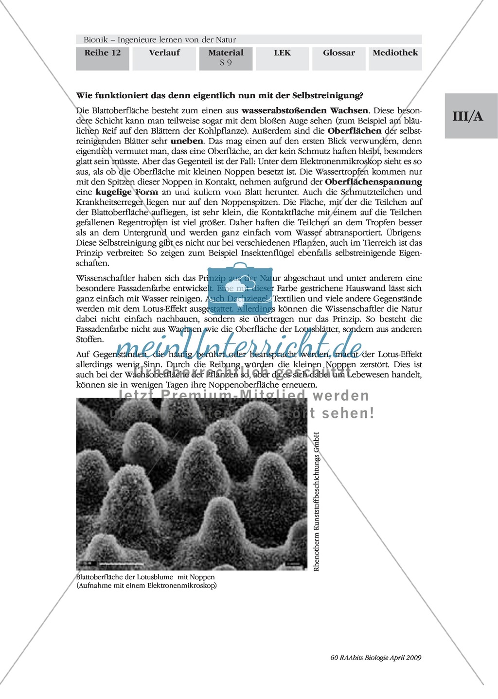 Bionik: Der Lotus-Effekt - Wandplakat Preview 3