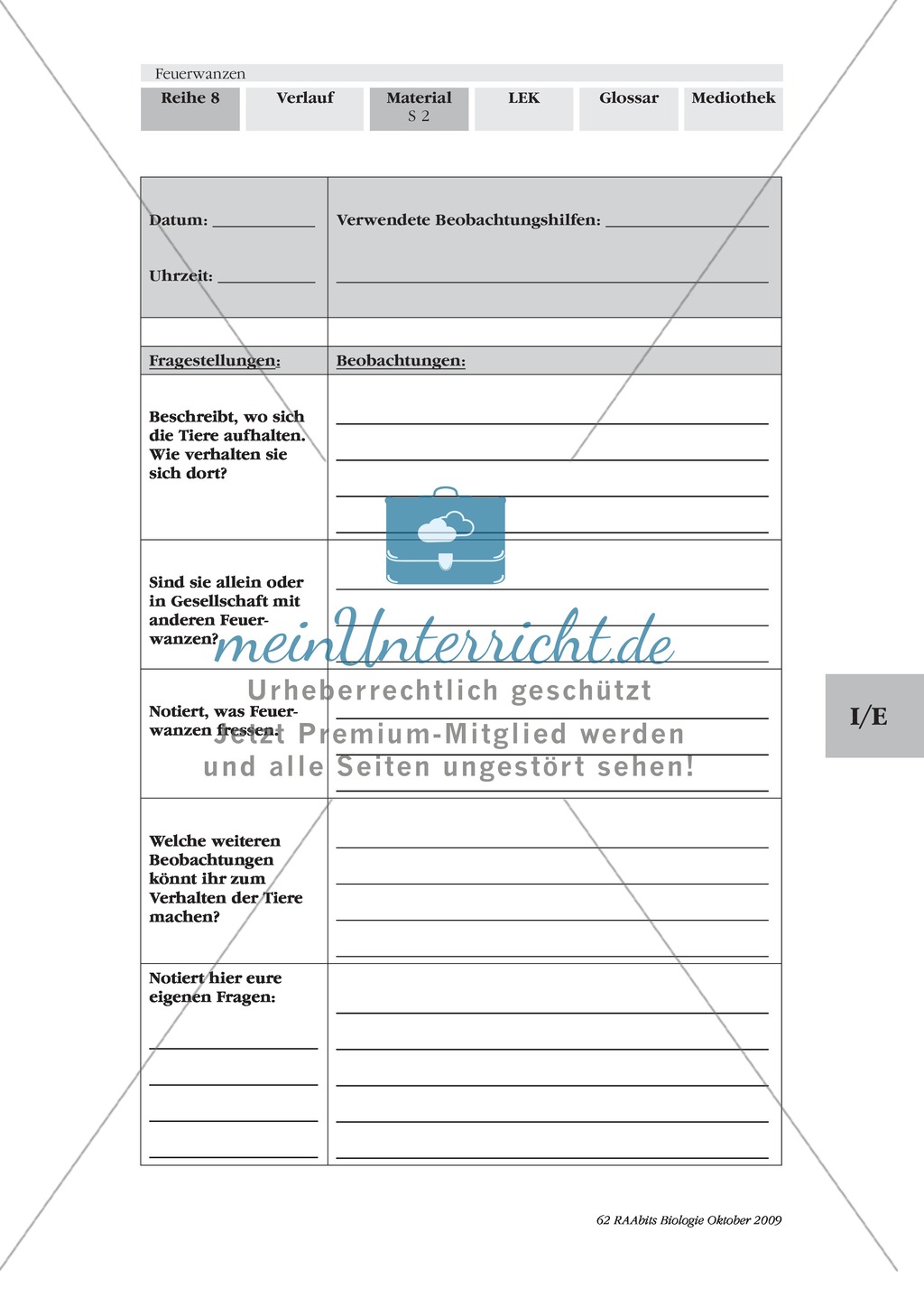 Feuerwanzen: Körperbau + Lebensweise Preview 2