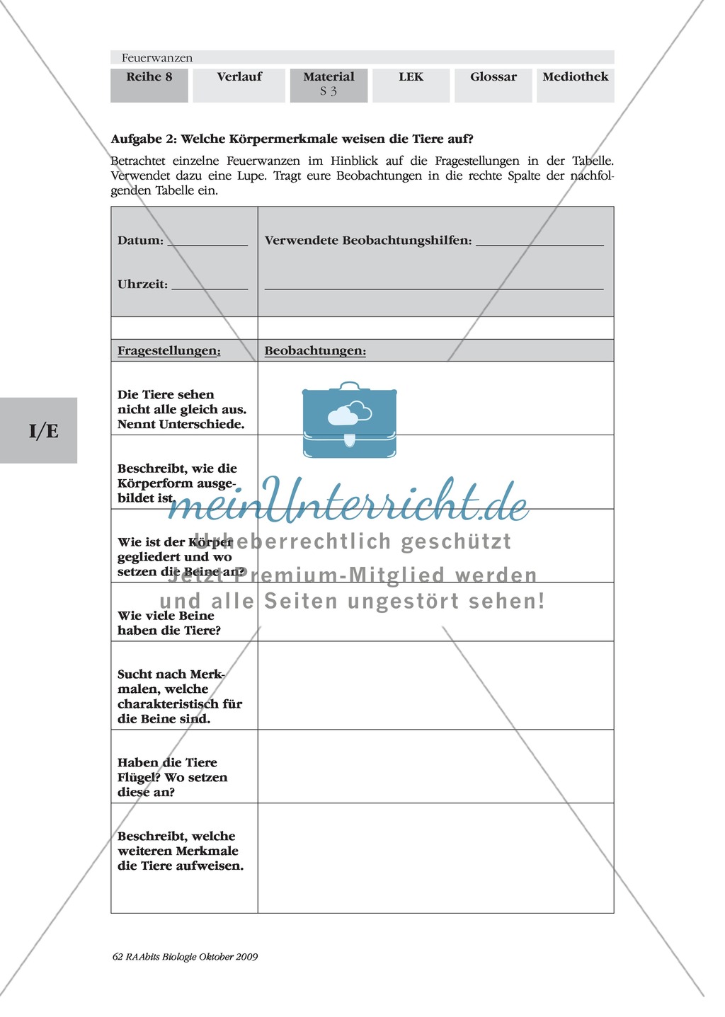 Feuerwanzen: Körperbau + Lebensweise Preview 3
