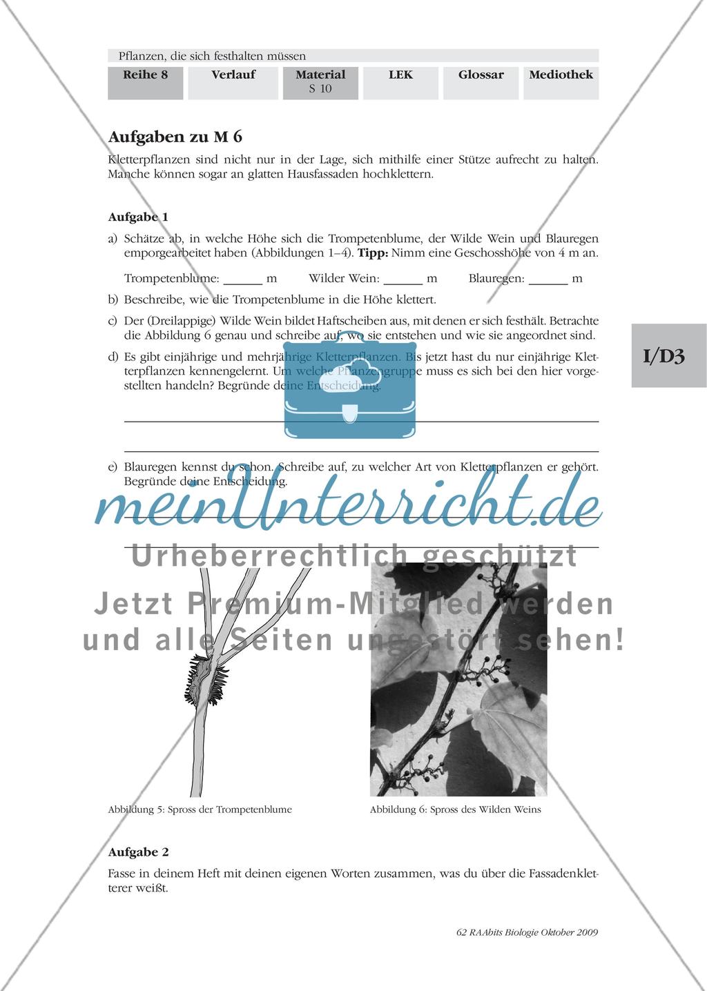 Spezialisten ohne Höhenangst Preview 3