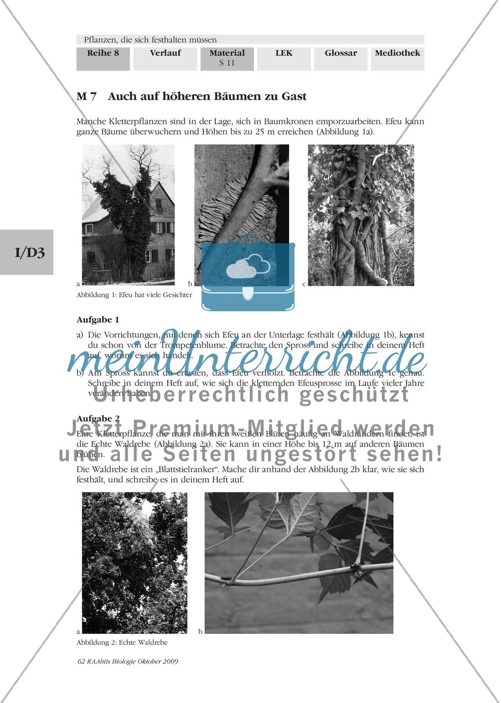 Spezialisten ohne Höhenangst Preview 4