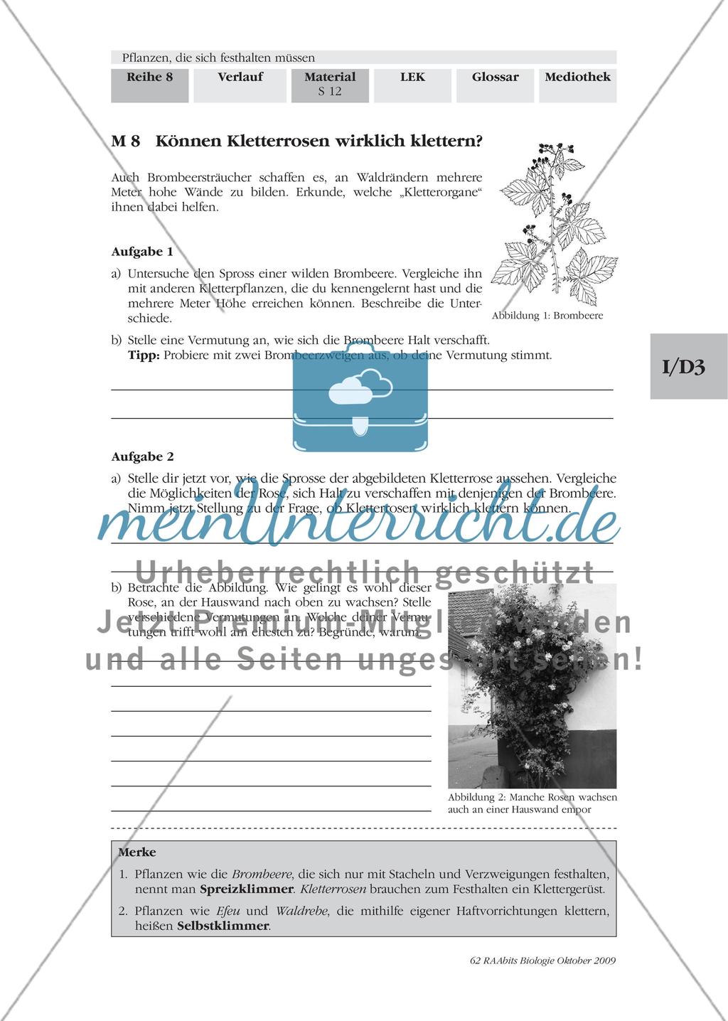Von Selbst- und Spreizklimmern Preview 1