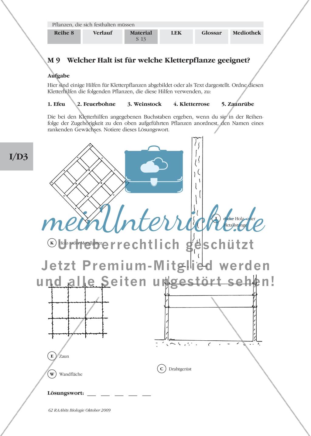 Von Selbst- und Spreizklimmern Preview 2