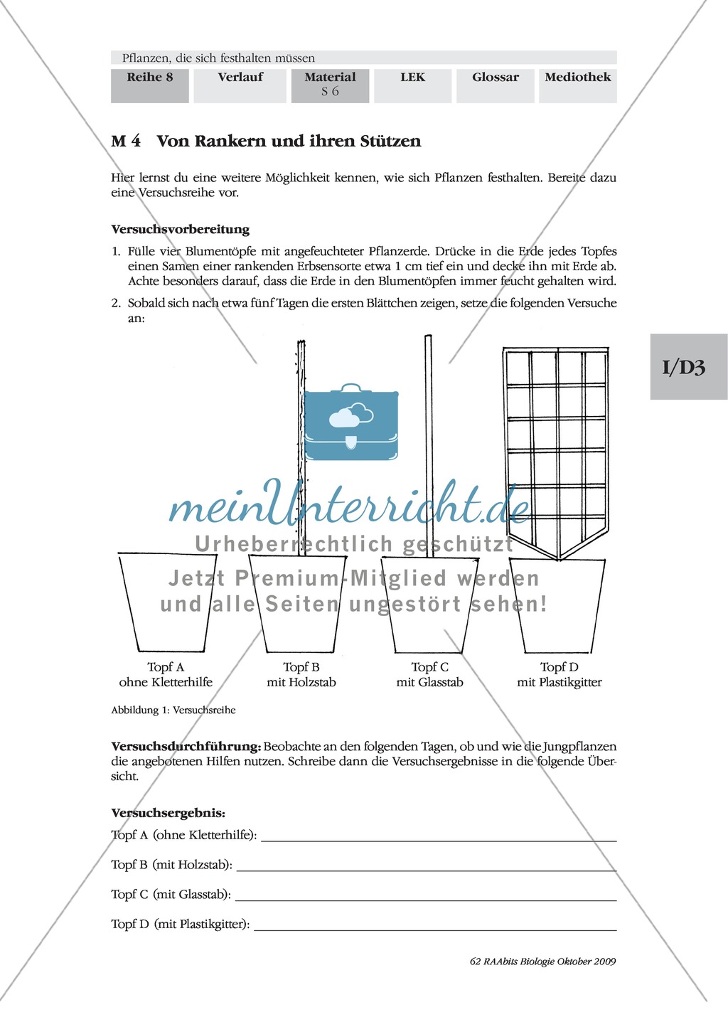 Kletterpflanzen: Ranken als Kletterorgane Preview 1