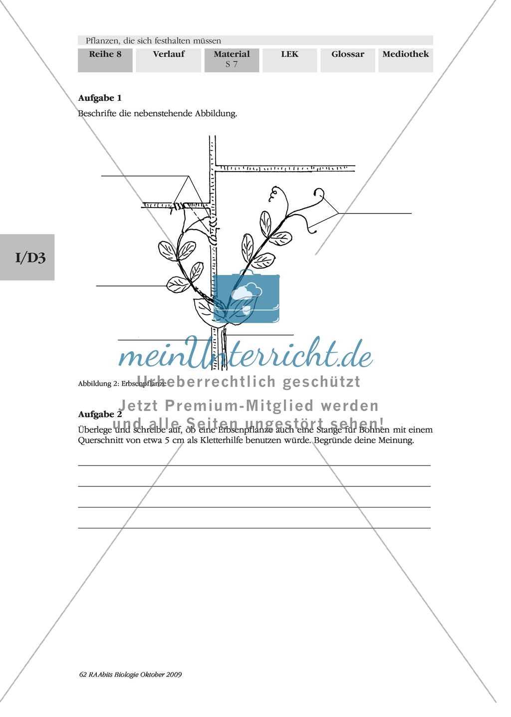 Kletterpflanzen: Ranken als Kletterorgane Preview 2