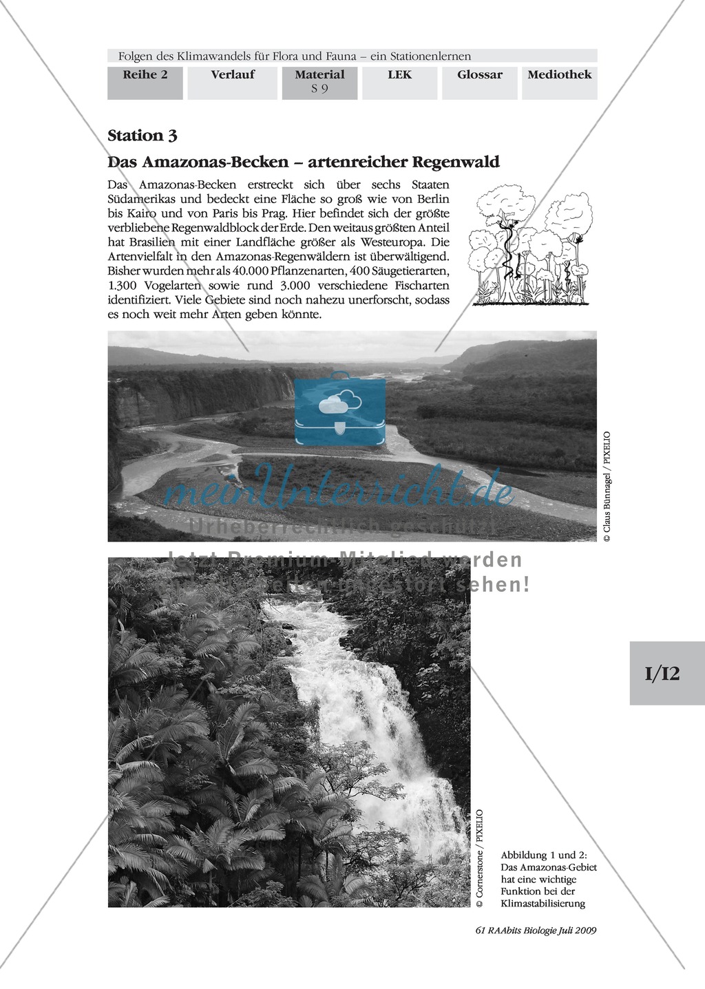 Stationenlernen: Klimawandel und Folgen für Flora und Fauna Preview 8