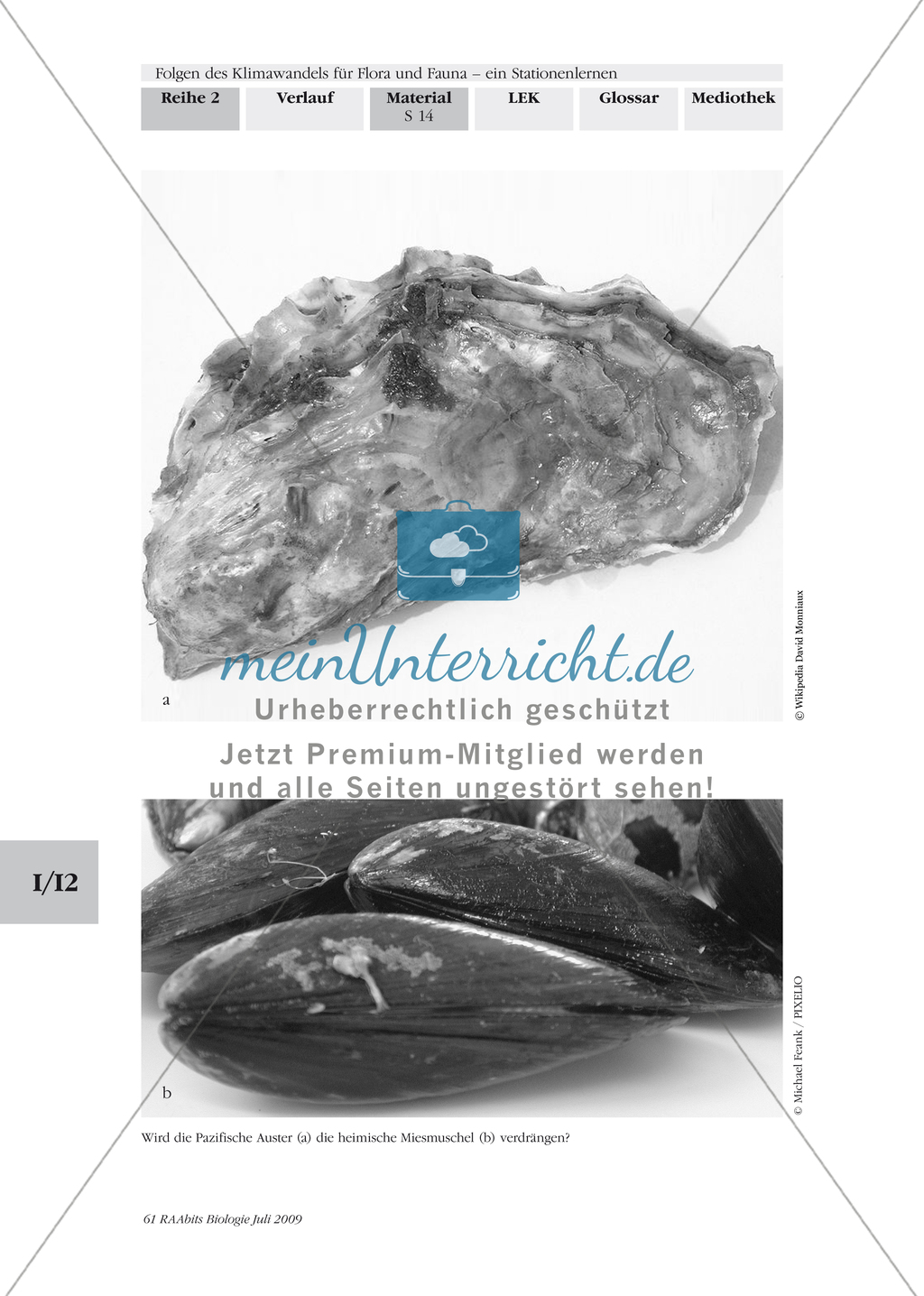 Klimawandel: Wattenmeer - Flora und Fauna Preview 6