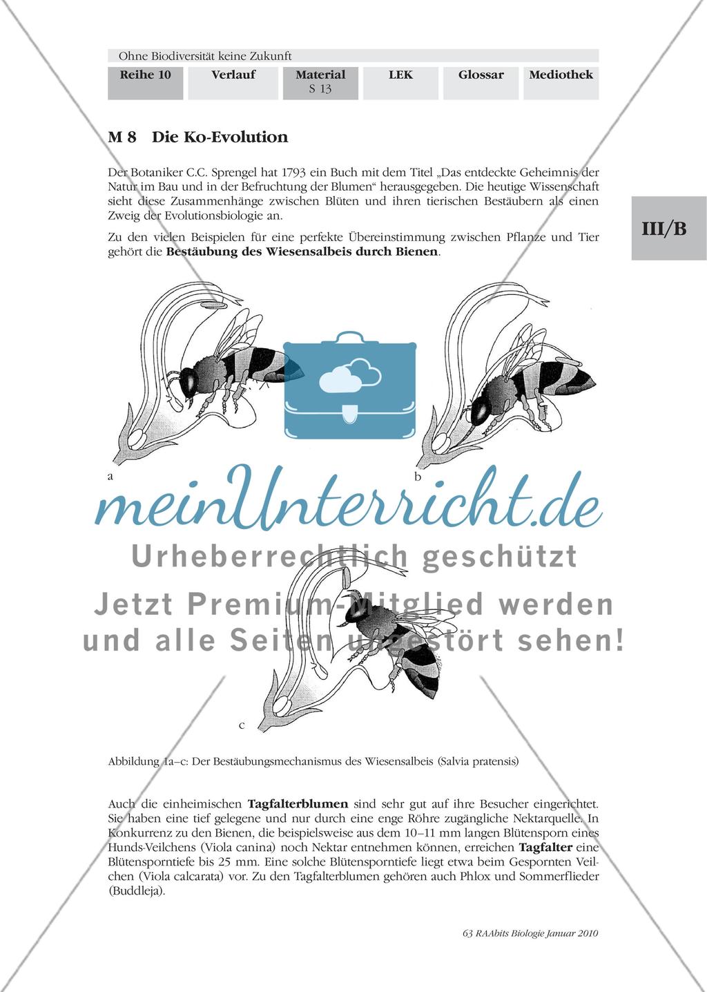 Ko-Evolution und Artensterben Preview 1