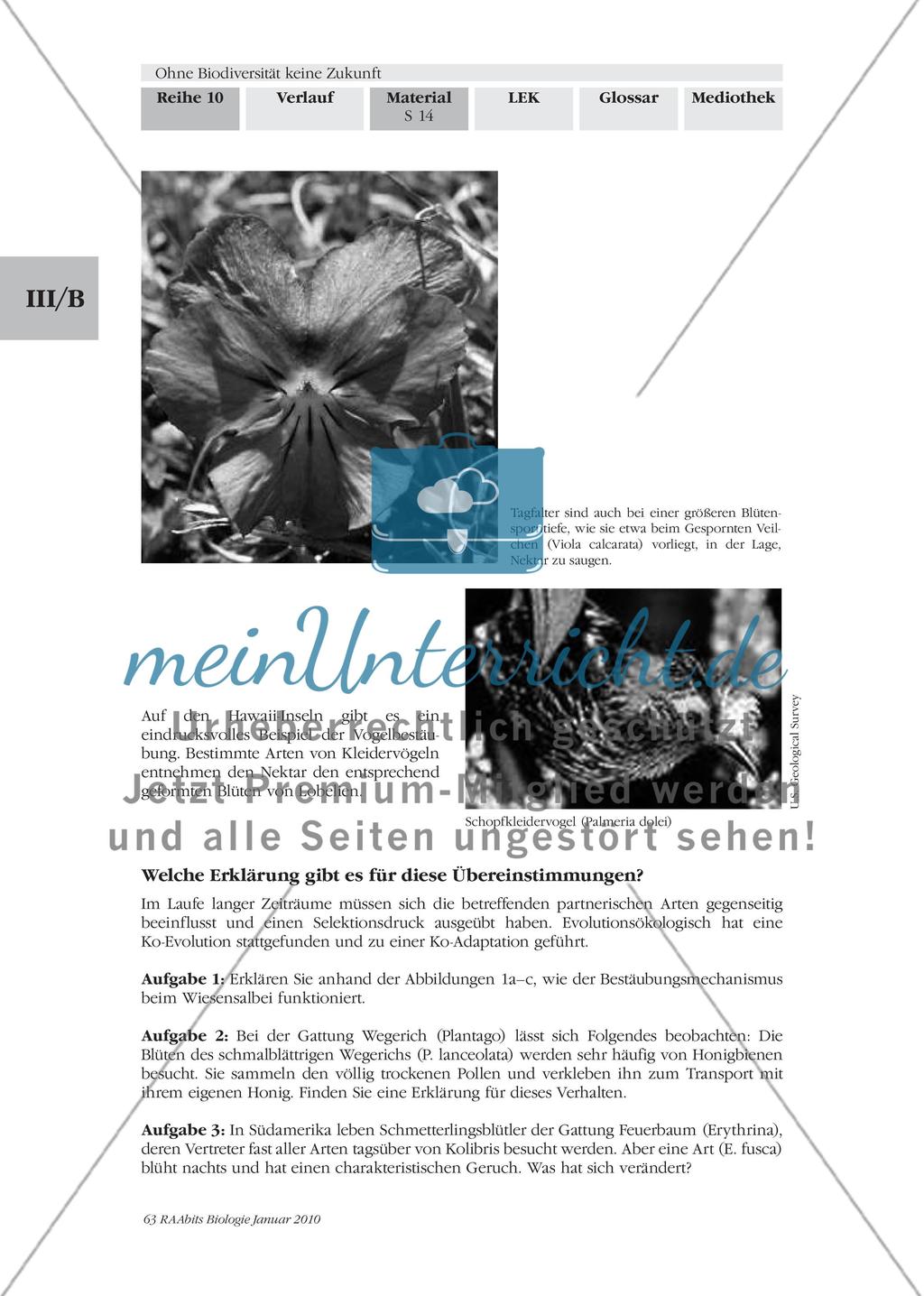 Ko-Evolution und Artensterben Preview 2