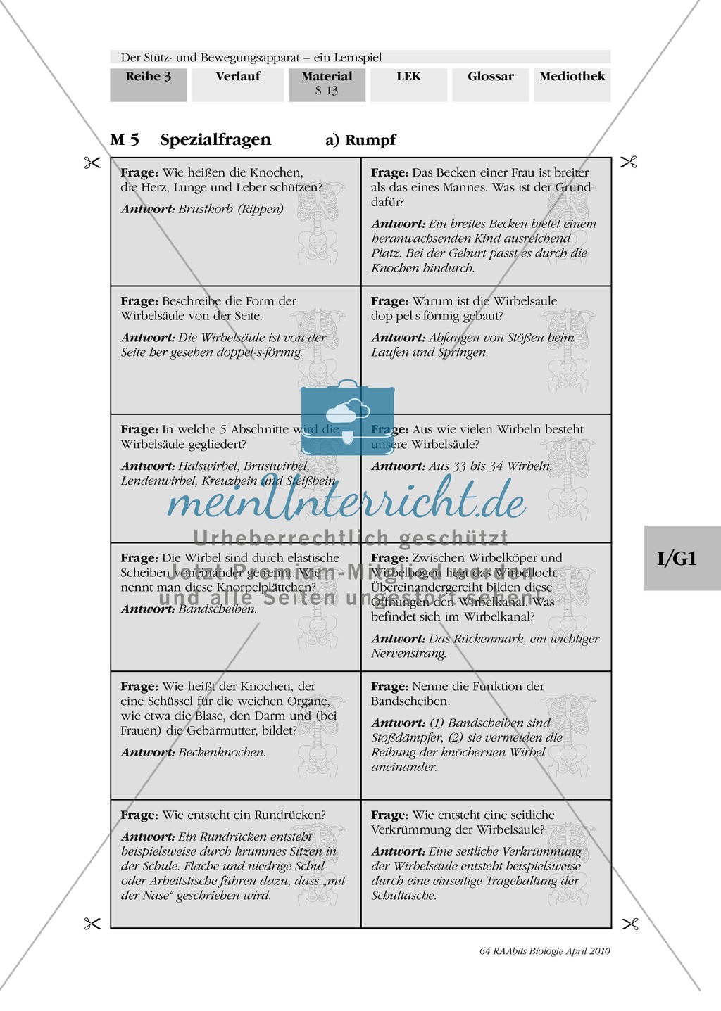 Lernspiel zum Stütz- und Bewegungsapparat: Spielanleitung, Spielfeld, Skelett-Puzzleteile, Fragen, Spielkarten, Röntgenbilder Kontrollbogen, Lösungsbogen Preview 12