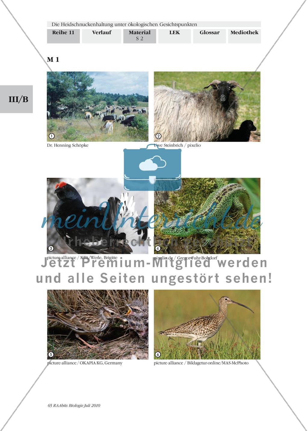 Einführung in die Landschaft der Lüneburger Heide Preview 1