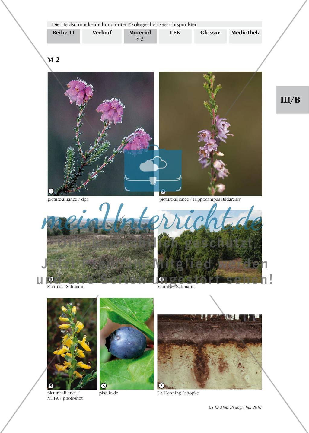 Einführung in die Landschaft der Lüneburger Heide Preview 2