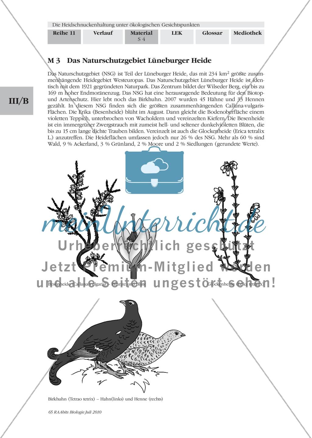 Einführung in die Landschaft der Lüneburger Heide Preview 3