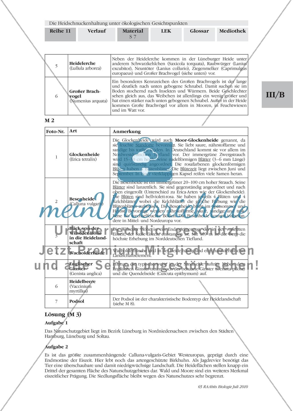 Einführung in die Landschaft der Lüneburger Heide Preview 6