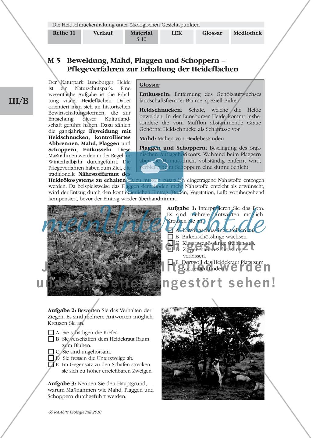 Pflegeverfahren zur Erhaltung der Heideflächen / Nährstoffgehalt im Heidekraut und Oberboden Preview 1