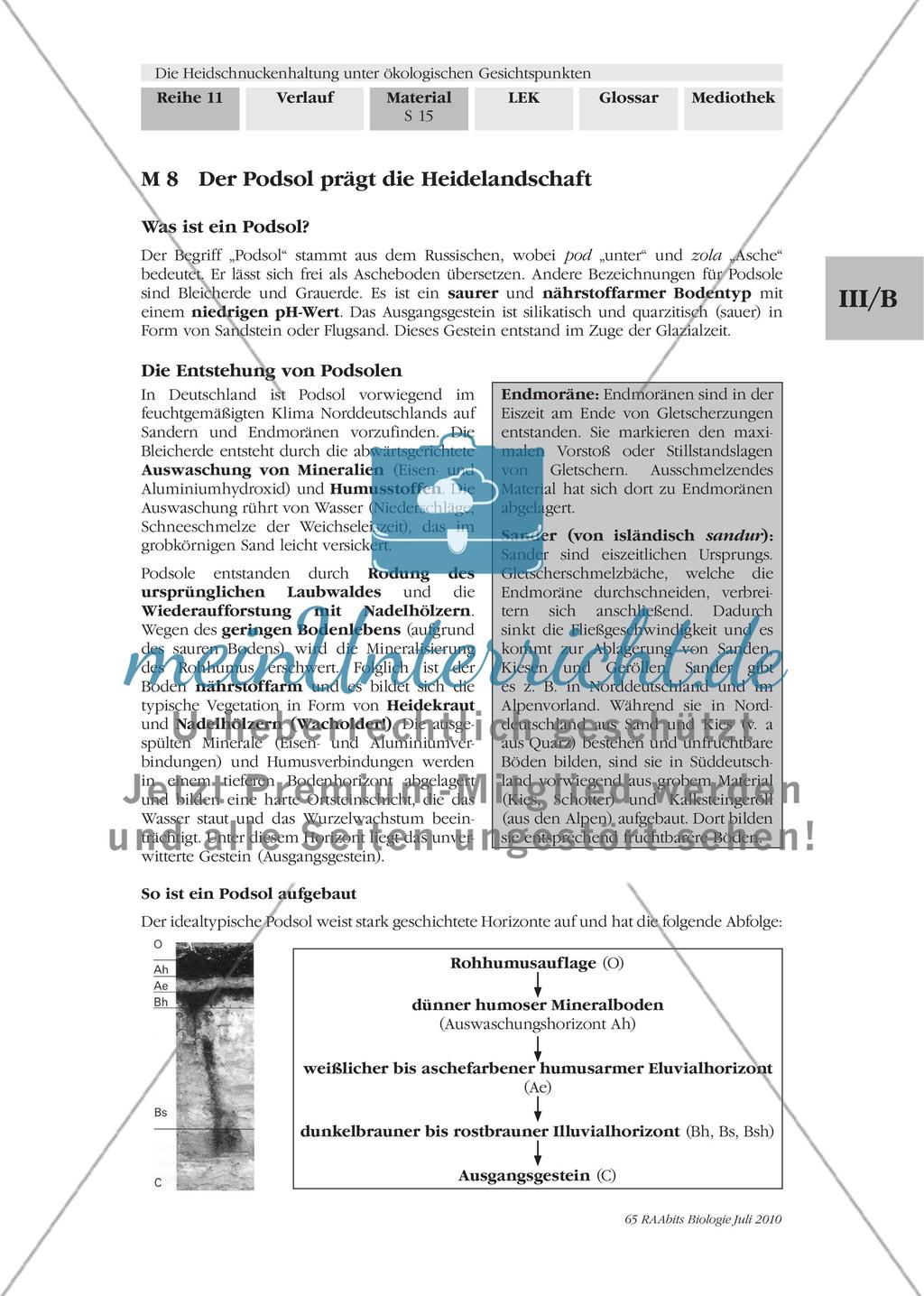 Der Podsol prägt die Heidelandschaft Preview 1