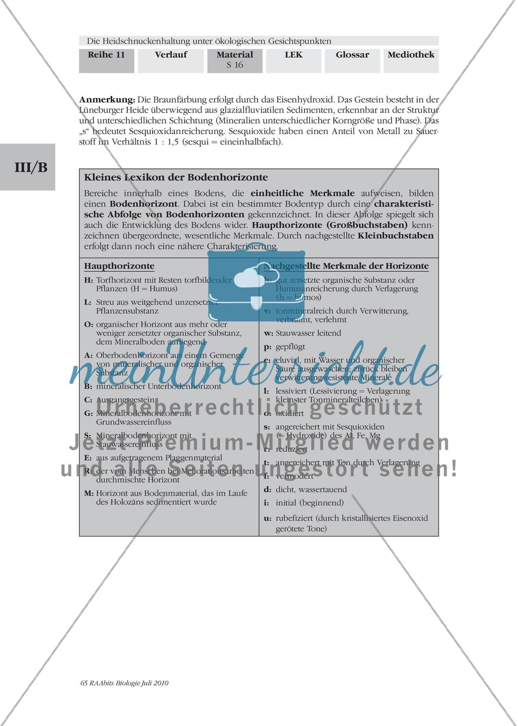 Der Podsol prägt die Heidelandschaft Preview 2