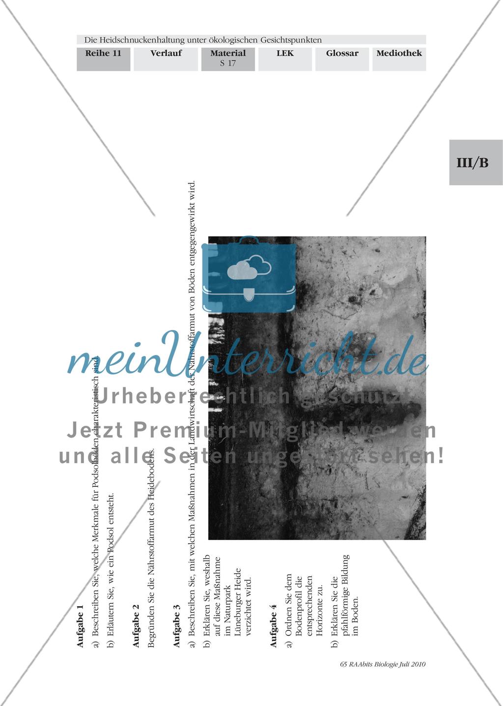 Der Podsol prägt die Heidelandschaft Preview 3