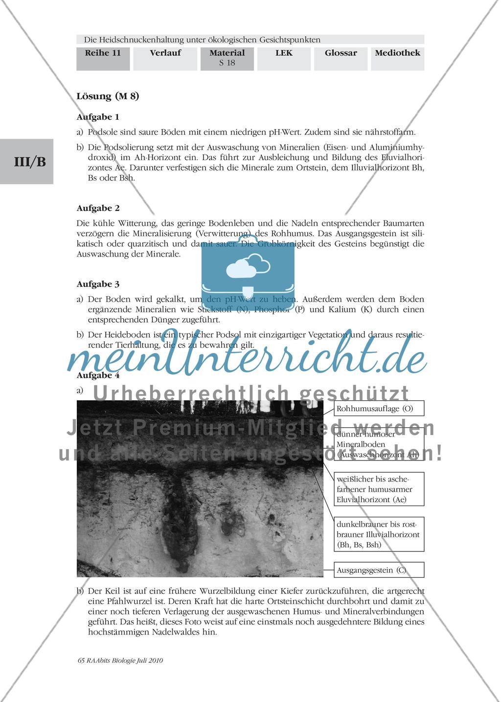 Der Podsol prägt die Heidelandschaft Preview 4