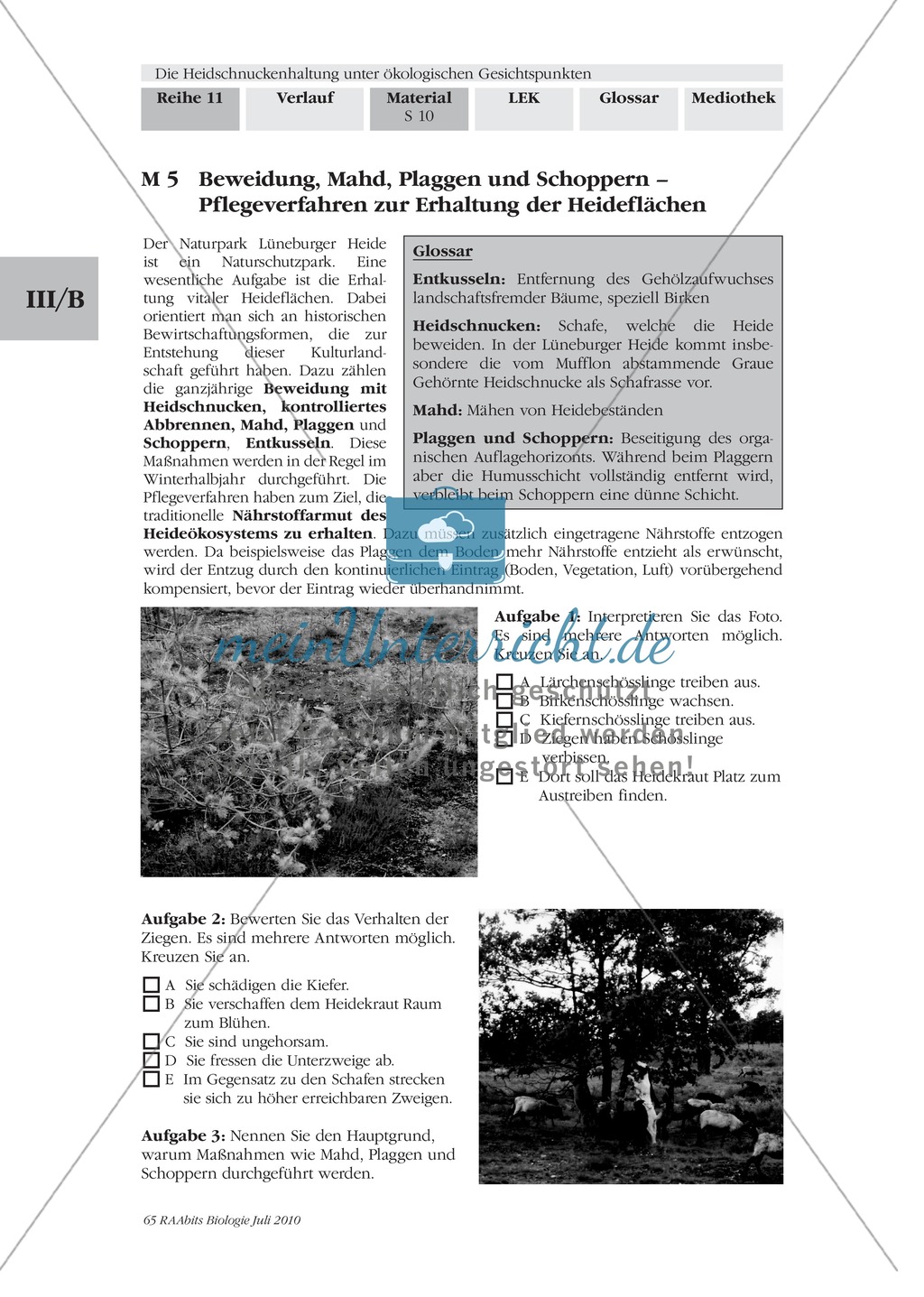Das Ökosystem Heide und die Rolle der Heidschnucken bei der Beweidung Preview 3
