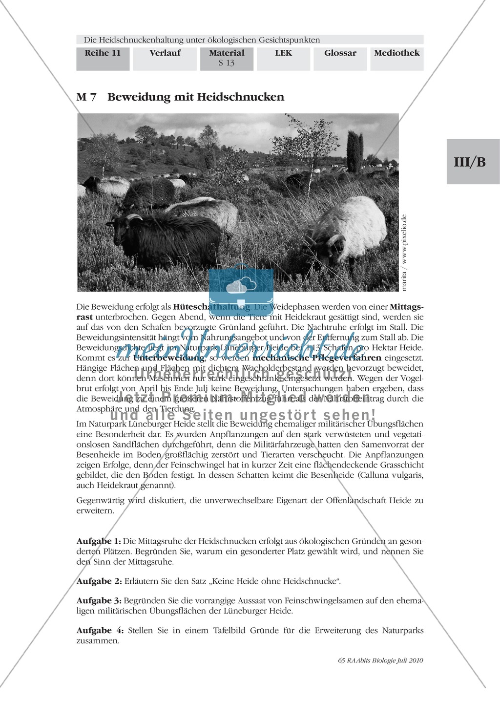 Das Ökosystem Heide und die Rolle der Heidschnucken bei der Beweidung Preview 6