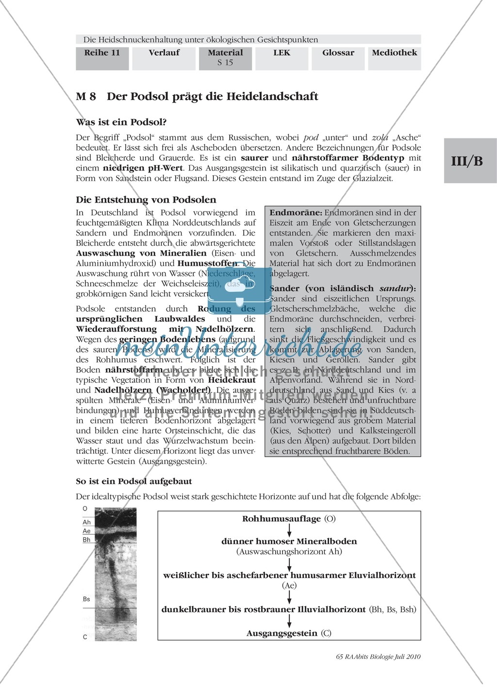 Das Ökosystem Heide und die Rolle der Heidschnucken bei der Beweidung Preview 8